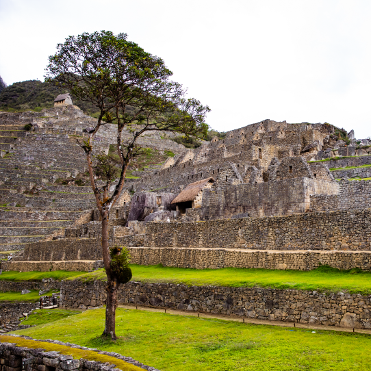 Experiencia de viaje Machu Picchu